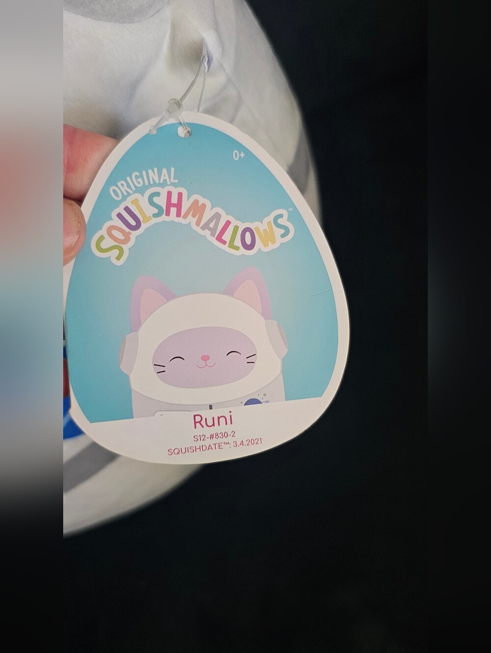 12 In Squishmallow - Picture 3 of 3